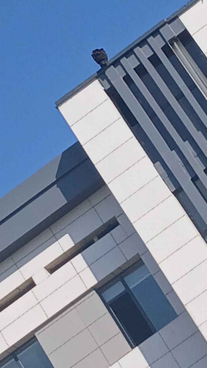 Фото Отель Афсона