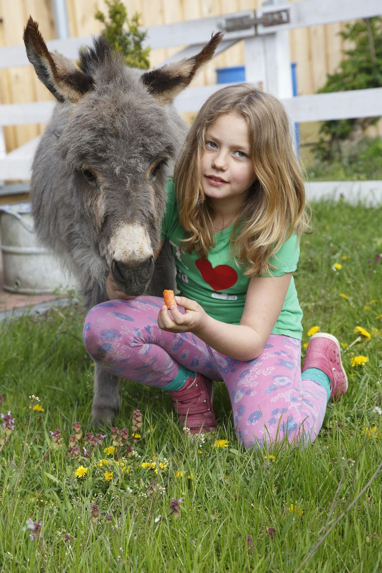 Фото Hotel Lavendelhof & Eselhof Nauen
