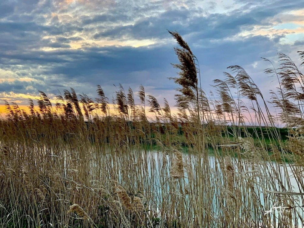 Фото Hotel Serena