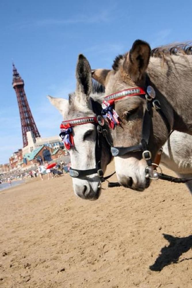 Фото Savoy Blackpool Hotel