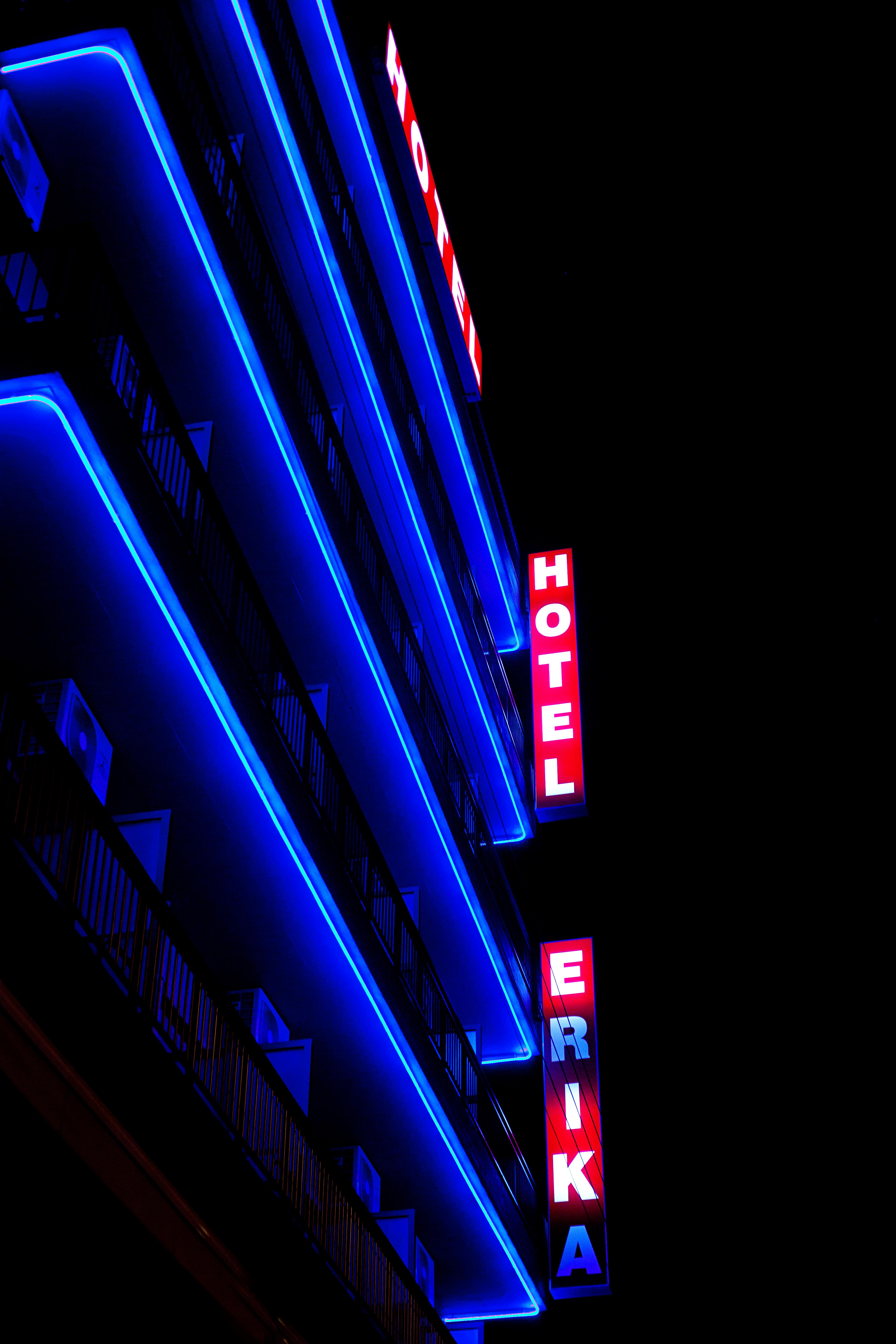 Фото Hotel Erika