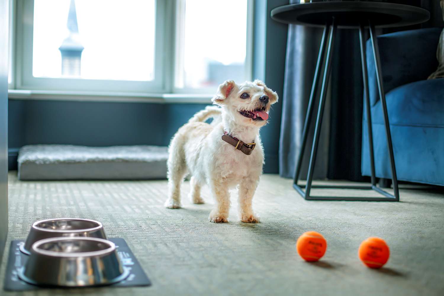 Фото The Yorkville Royal Sonesta