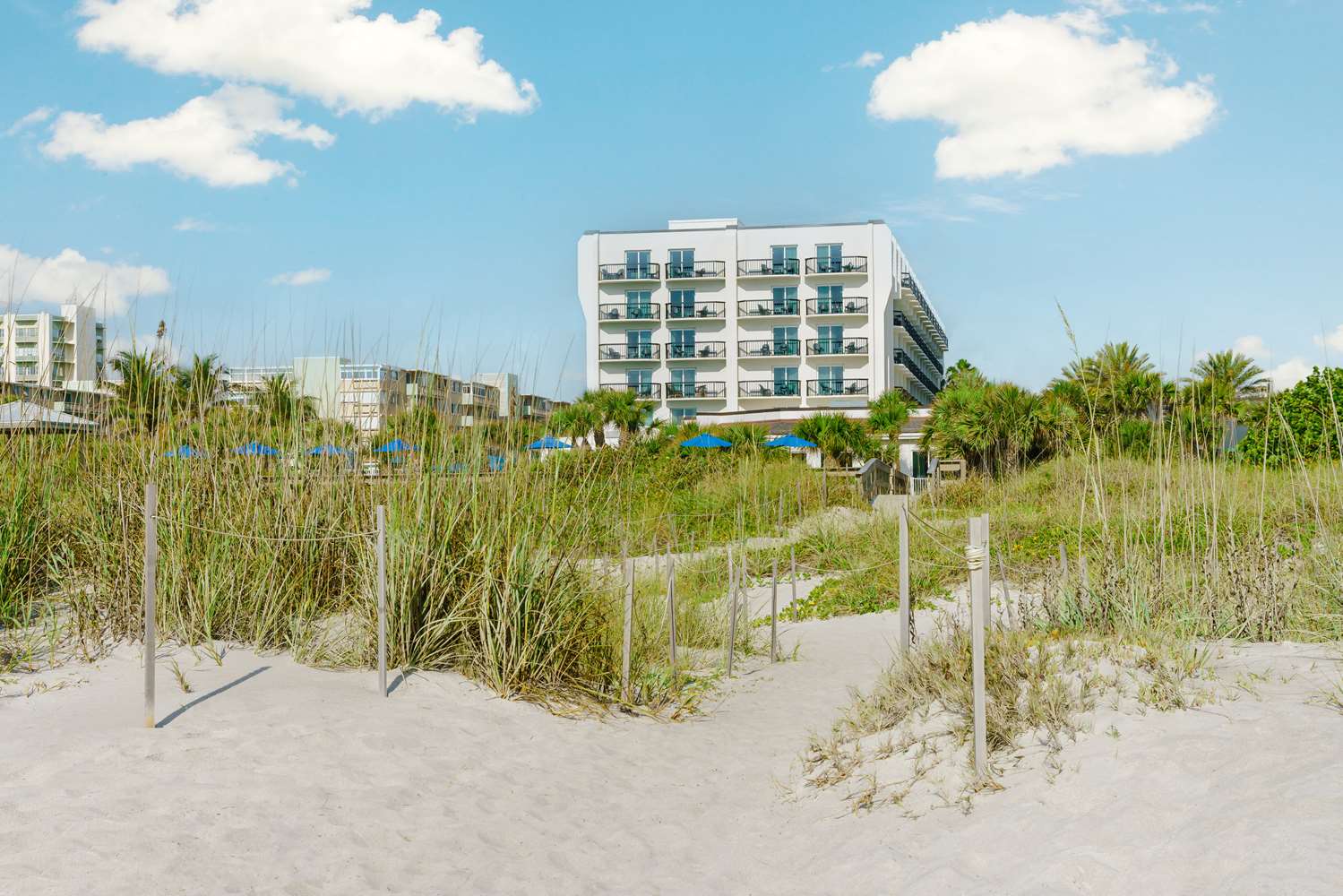 Фото Hilton Garden Inn Cocoa Beach Oceanfront