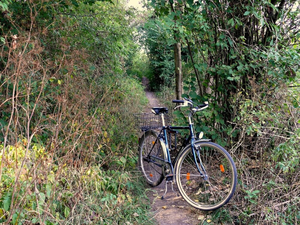 Фото Hotel Haase