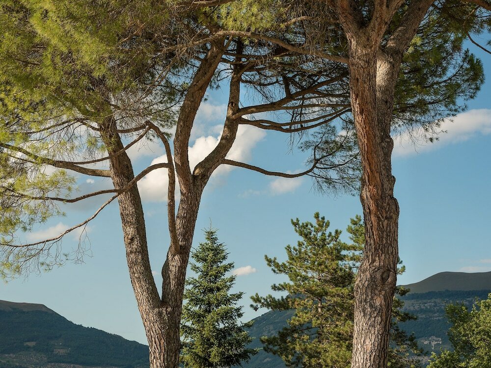 Фото Hotel Villa Montegranelli