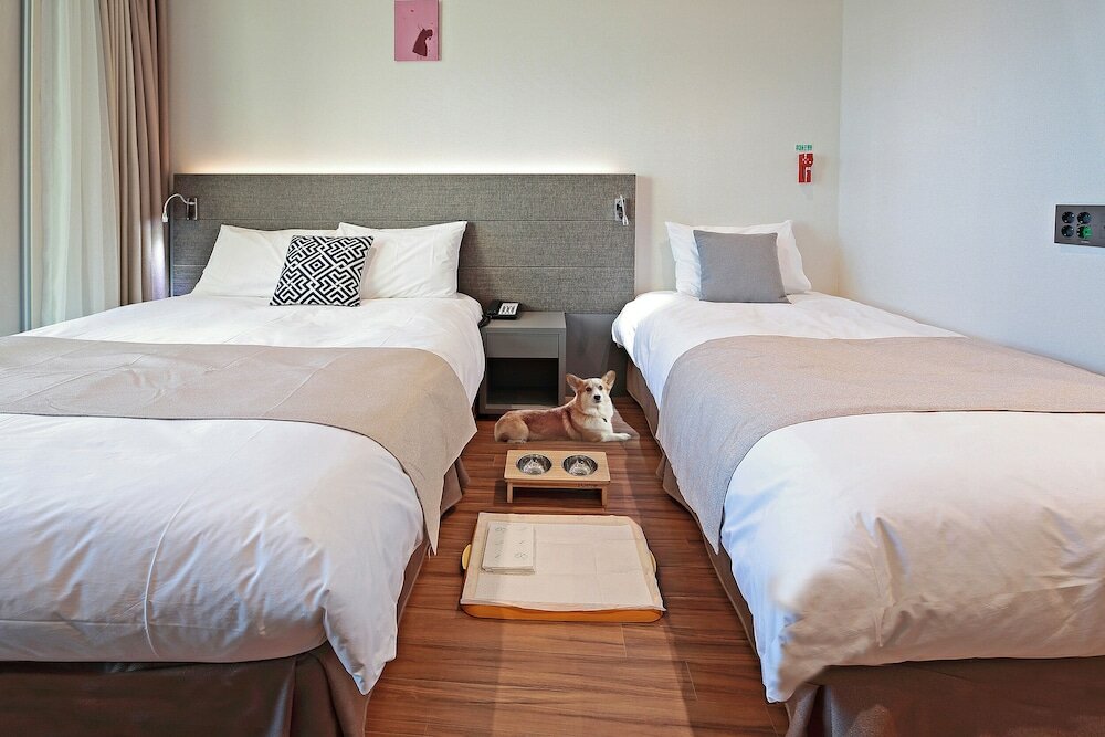 Фото Airsky Hotel