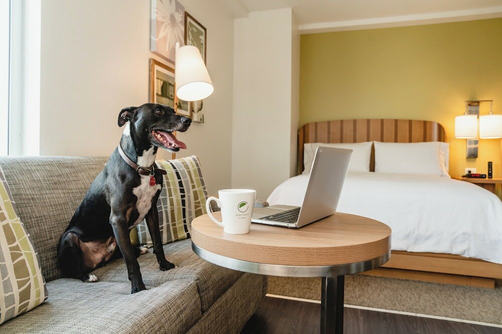 Фото Element Austin Downtown