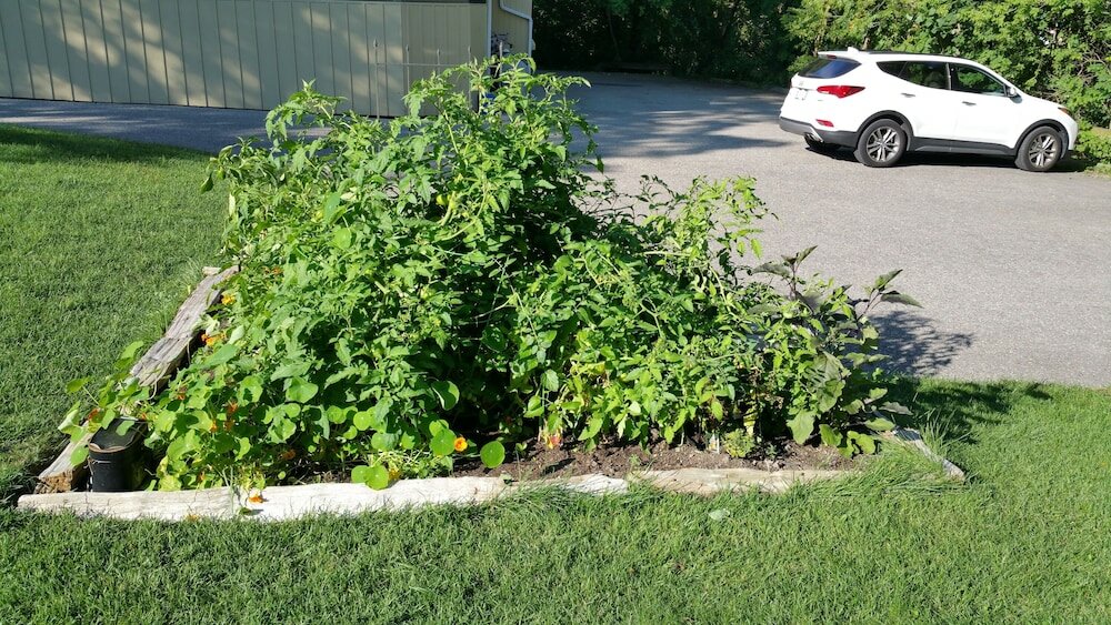 Фото Stone Maiden Inn