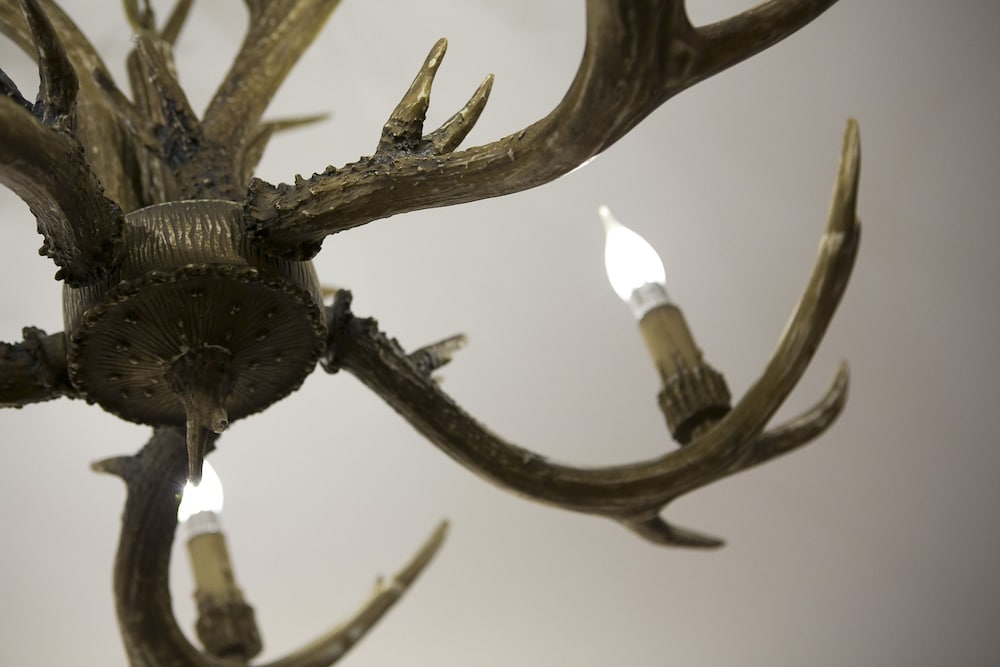 Фото York Design Hotel