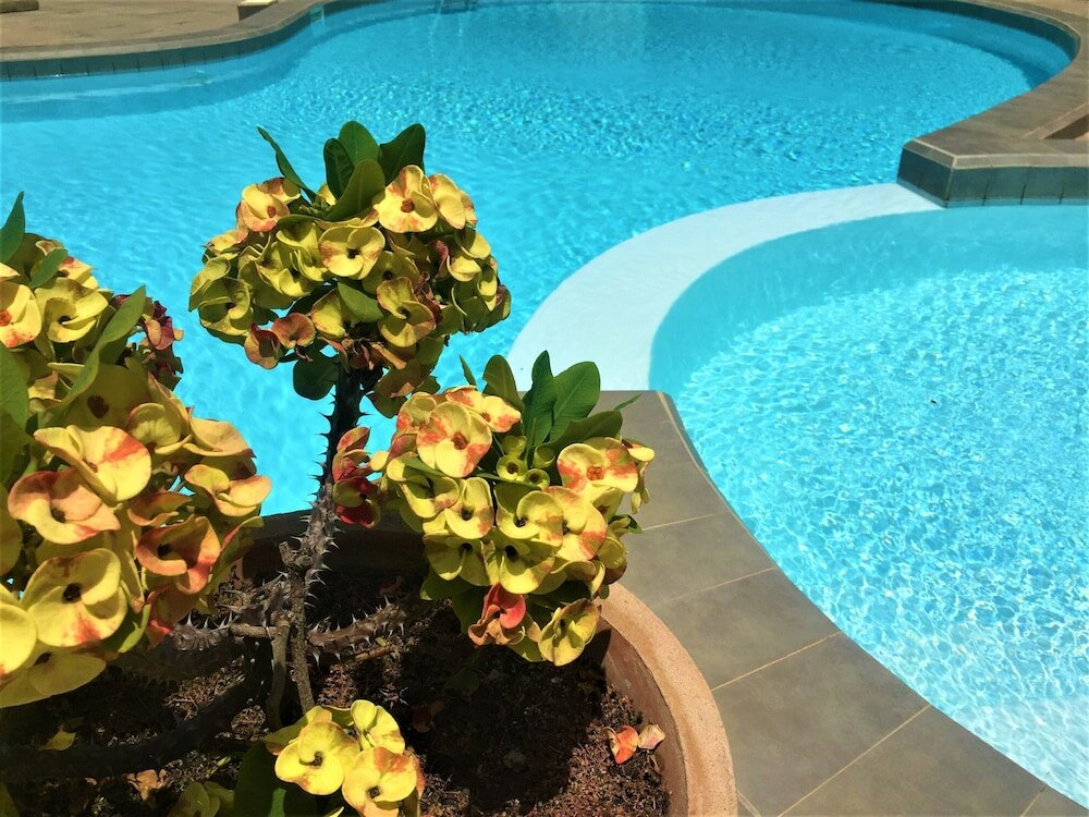 Фото Kololi Beach Resort