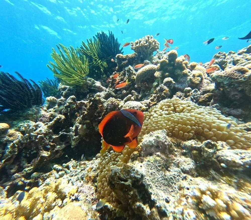 Фото Eco Village Iriomote