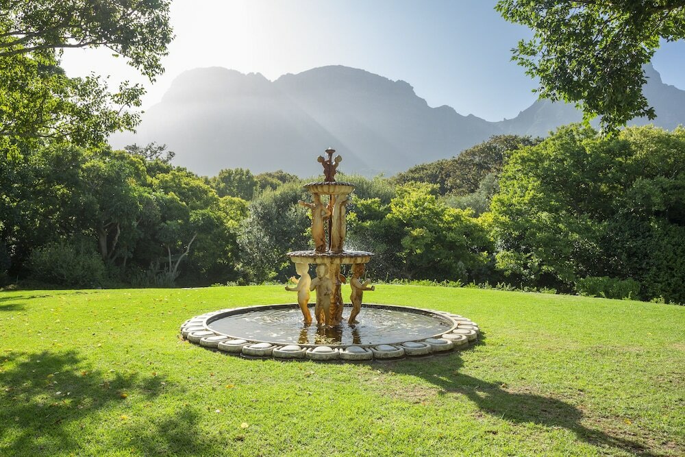 Фото Vineyard Hotel