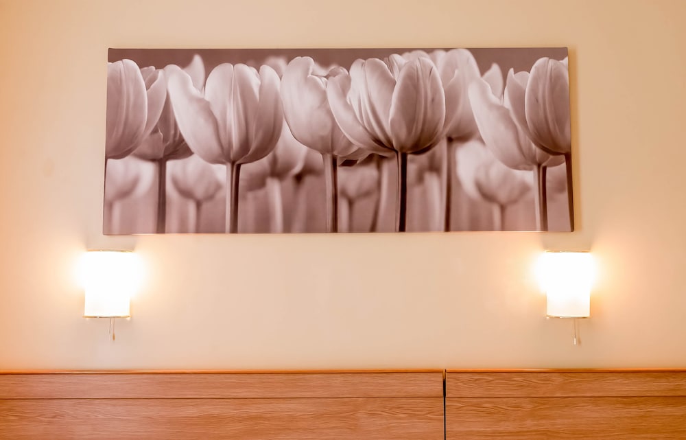 Фото 50624346015