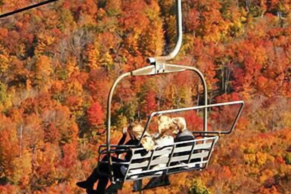 Фото Hotel Vienna