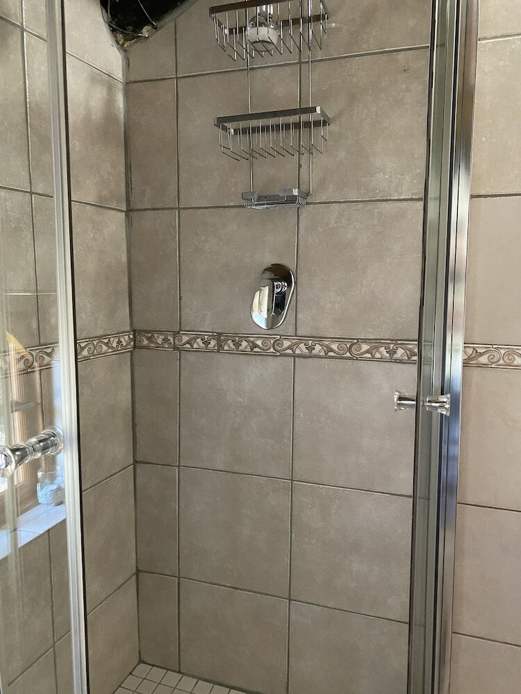 Фото Tuscan Rose