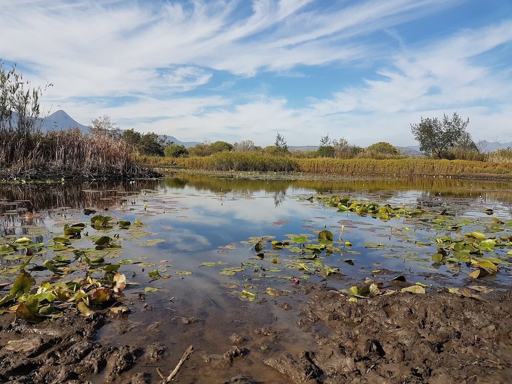 Фото SomerZicht Guesthouse