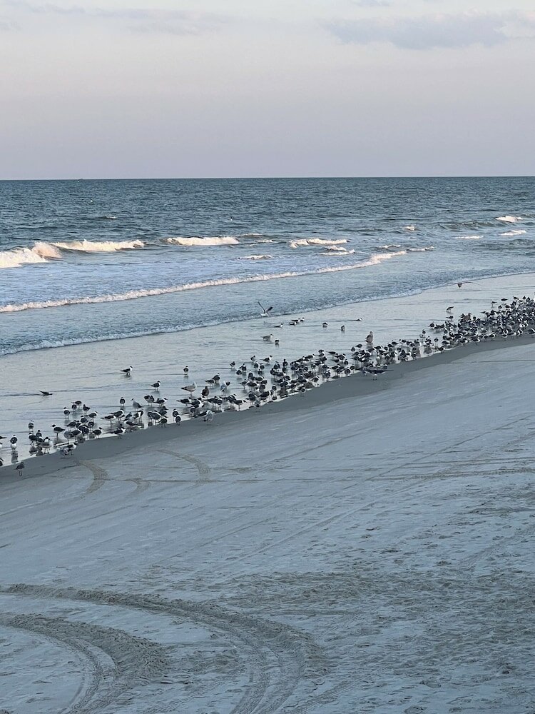 Фото Flamingo Inn Beachfront