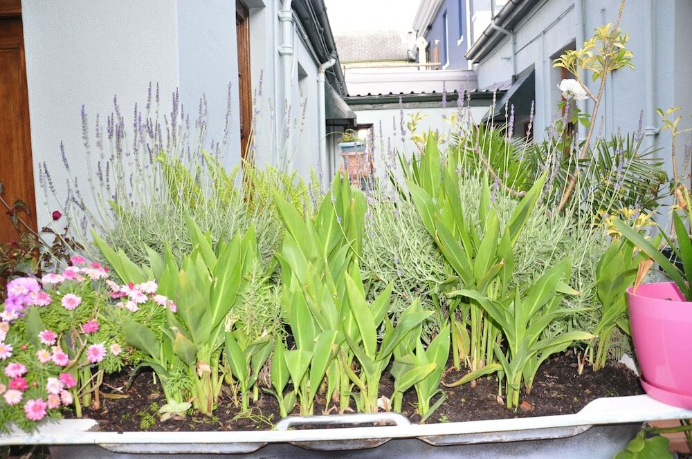 Фото Central Hotel Guest House