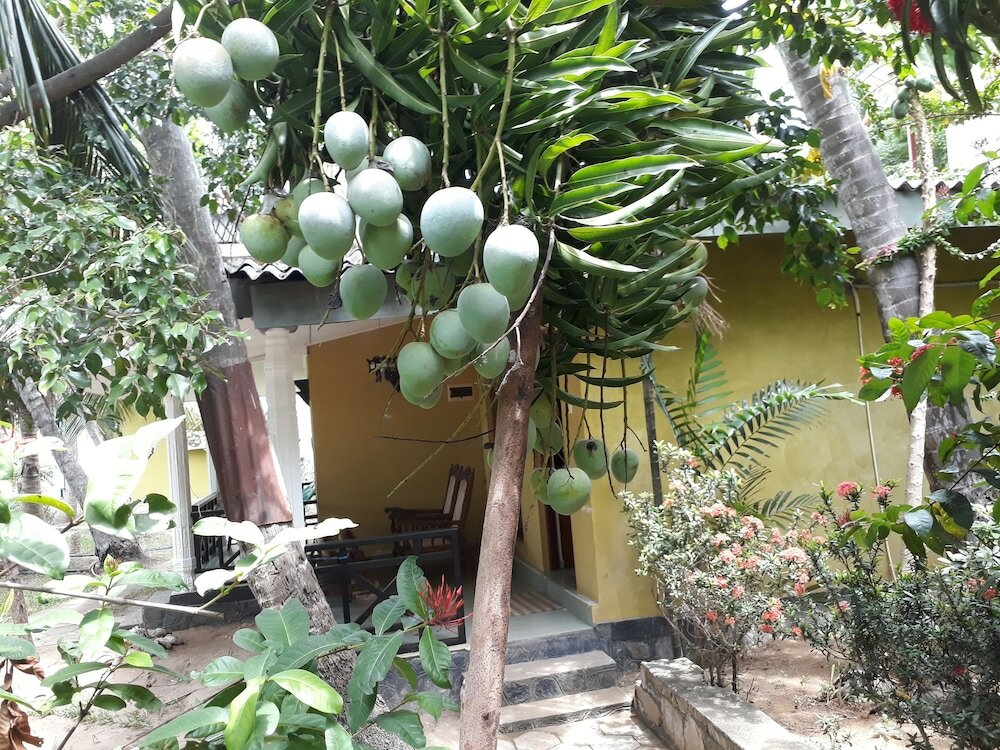 Фото Traveller's Home Hotel