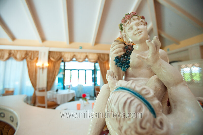 Фото Hotel Villa Franceschi