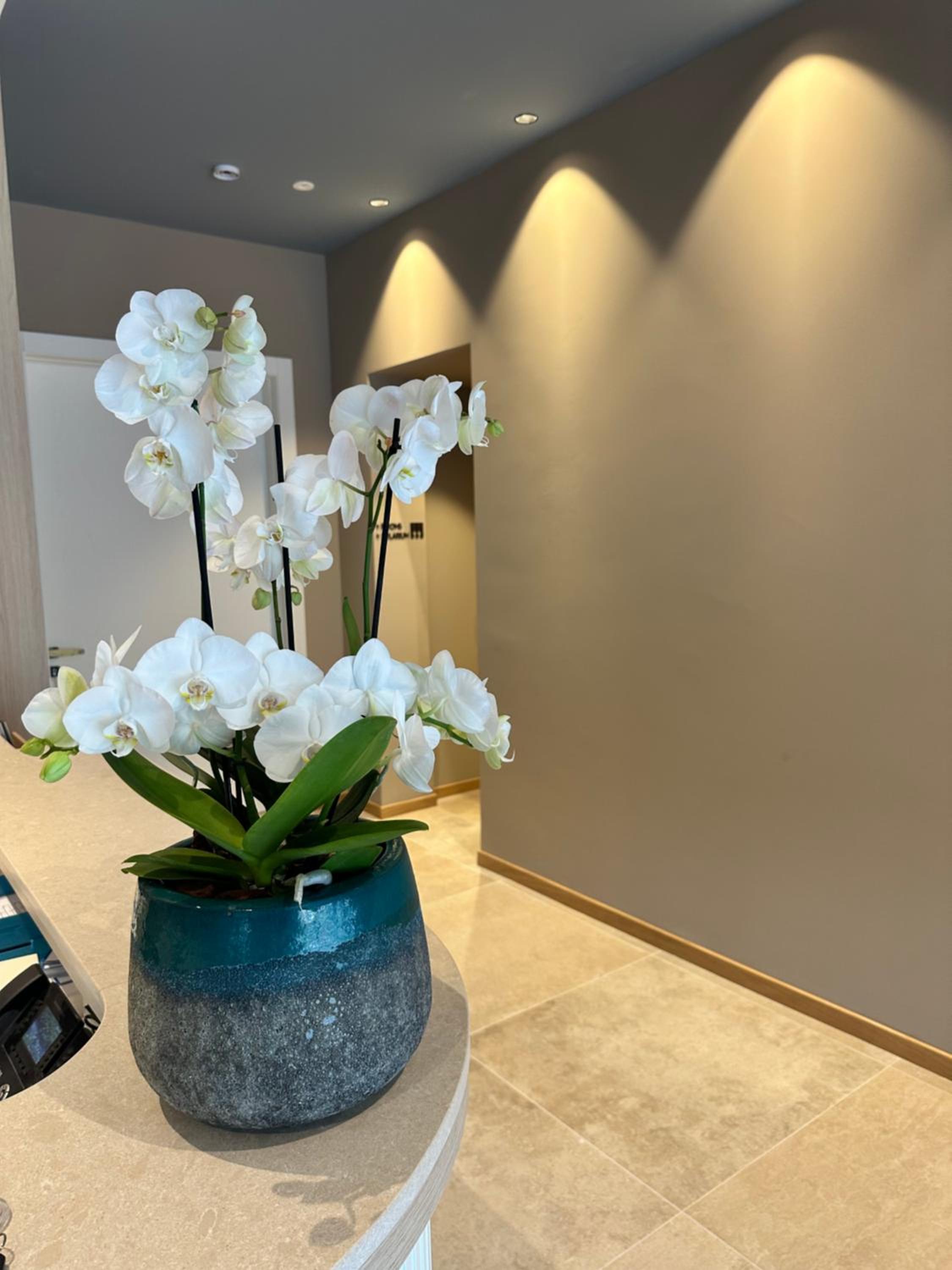 Фото Petit Hotel