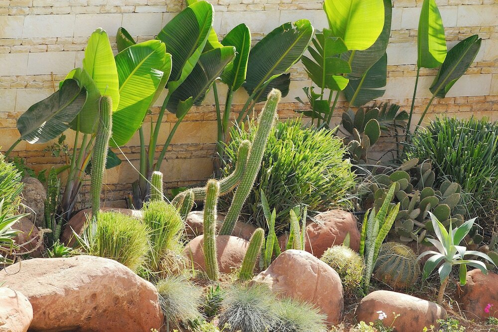 Фото Timoulay Hotel & SPA Agadir