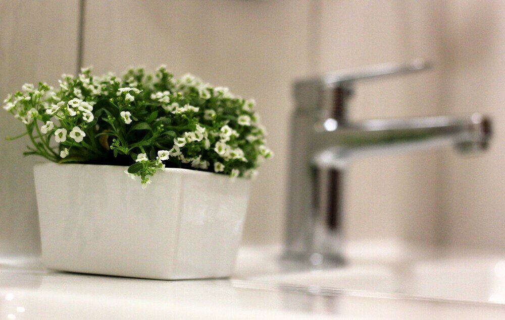 Фото Del Roza Guest House