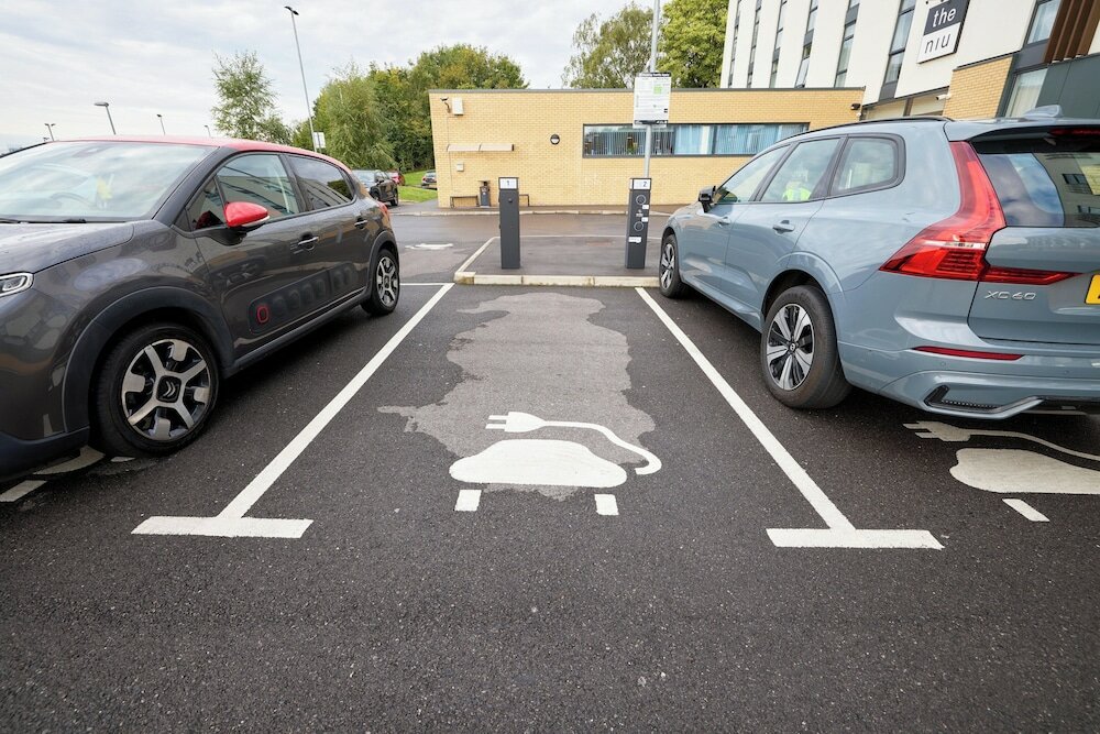 Фото The niu Loom