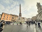 Wonder Lovely Navona