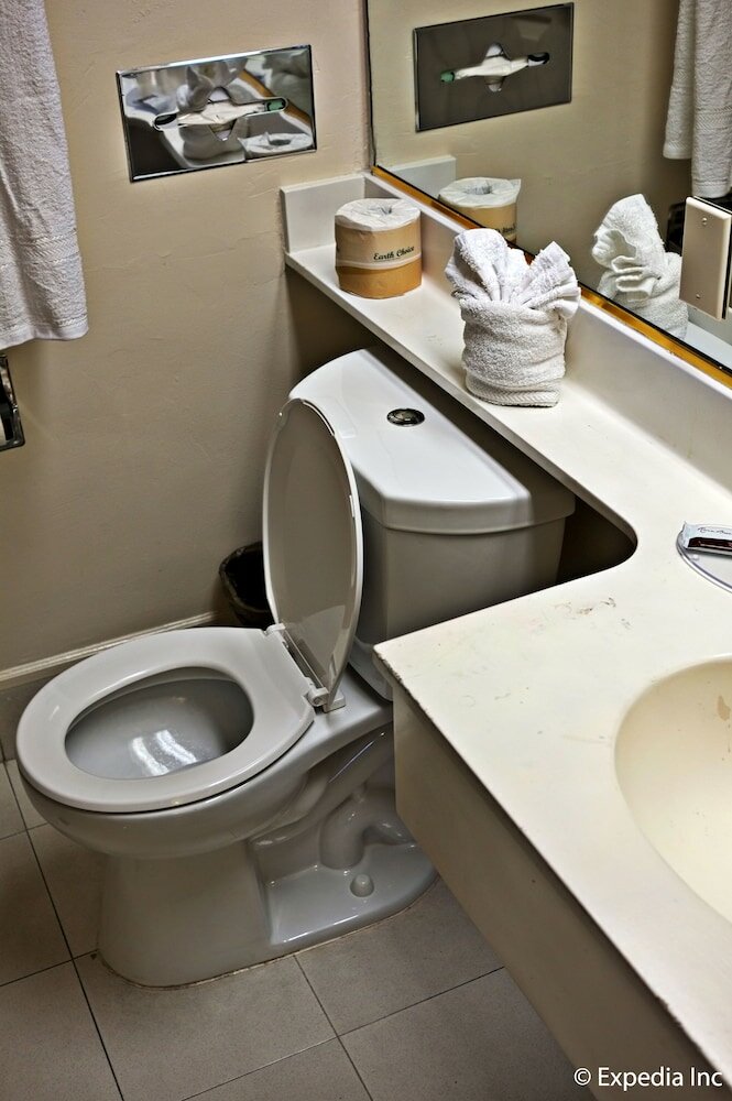 Фото Anaheim Discovery Inn & Suites