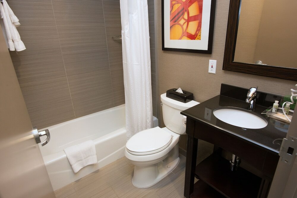 Фото Holiday Inn Nyc - Lower East Side, an Ihg Hotel