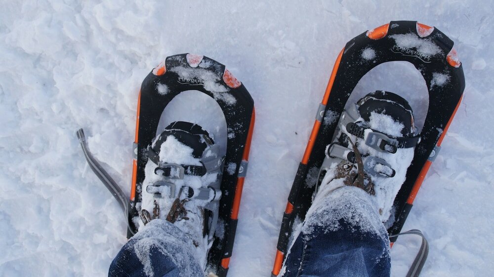 Фото Der Westerhof Tegernsee Hotel