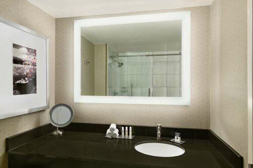 Гостиница Doubletree by Hilton Detroit - Novi в Трое