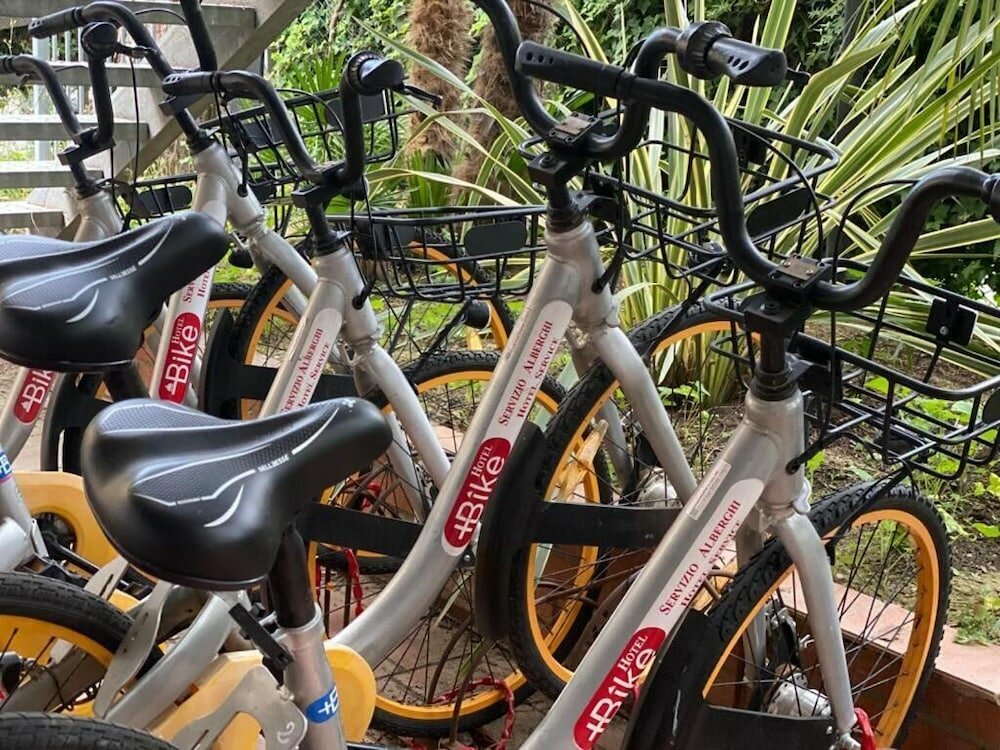 Фото Hotel Brown