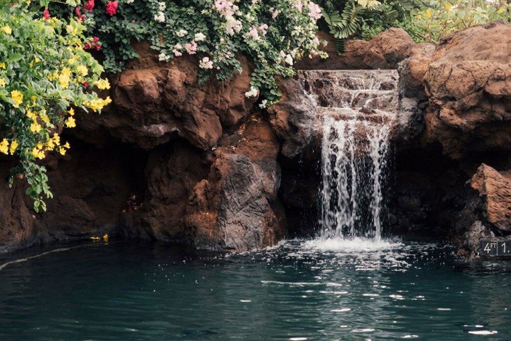 Фото Four Seasons Resort Lanai