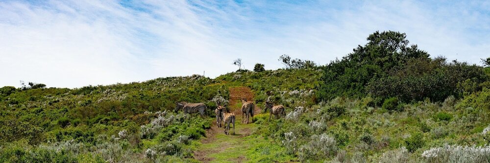 Фото Simbavati Fynbos on Sea