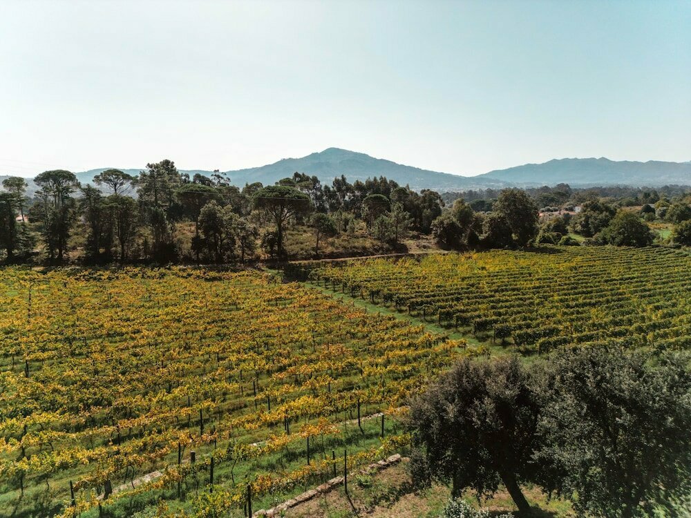 Hotel Quinta do Convento de Val Pereiras, Viana do Castelo District, photo