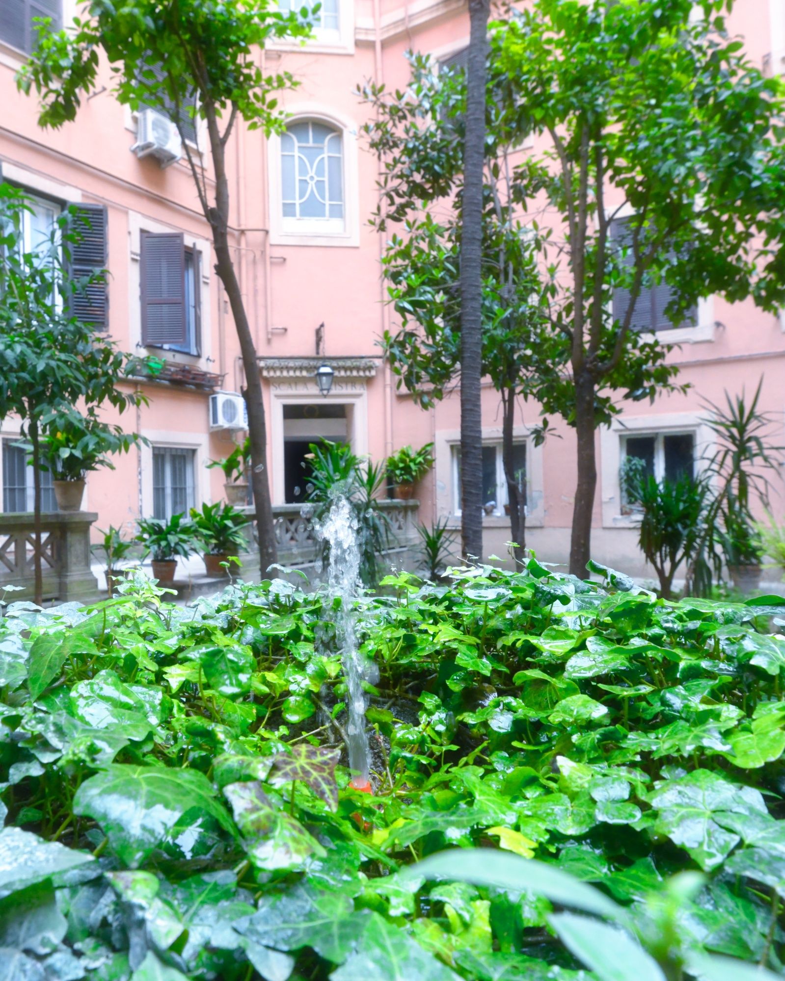 Фото White Vatican