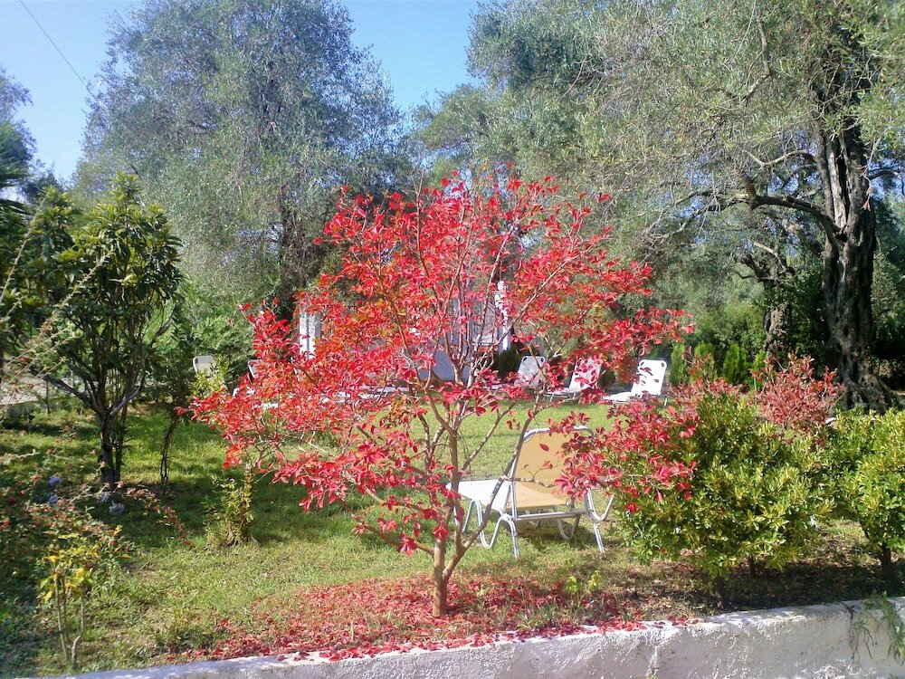 Фото Marilena House