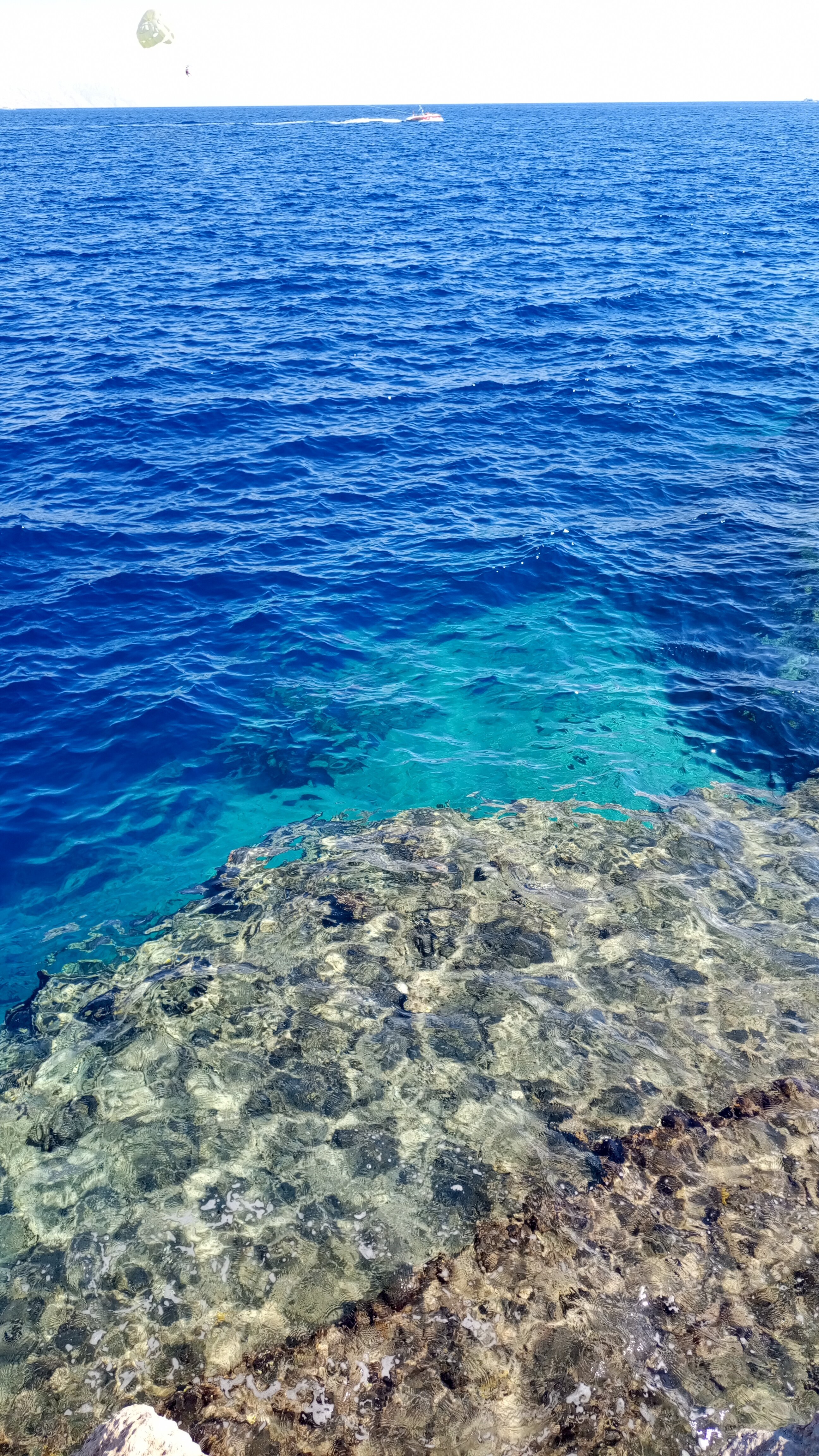 Фото Sharm Cliff Resort