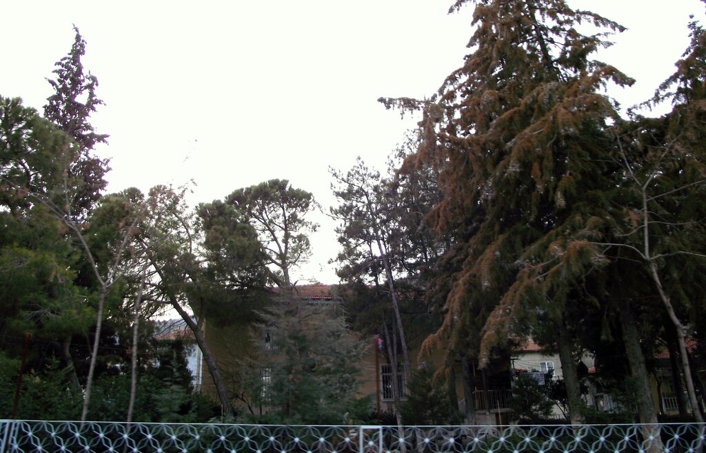 Mosque Haci Tosun Aga Mosque, Serinhisar, photo