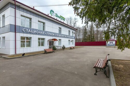 Внутри