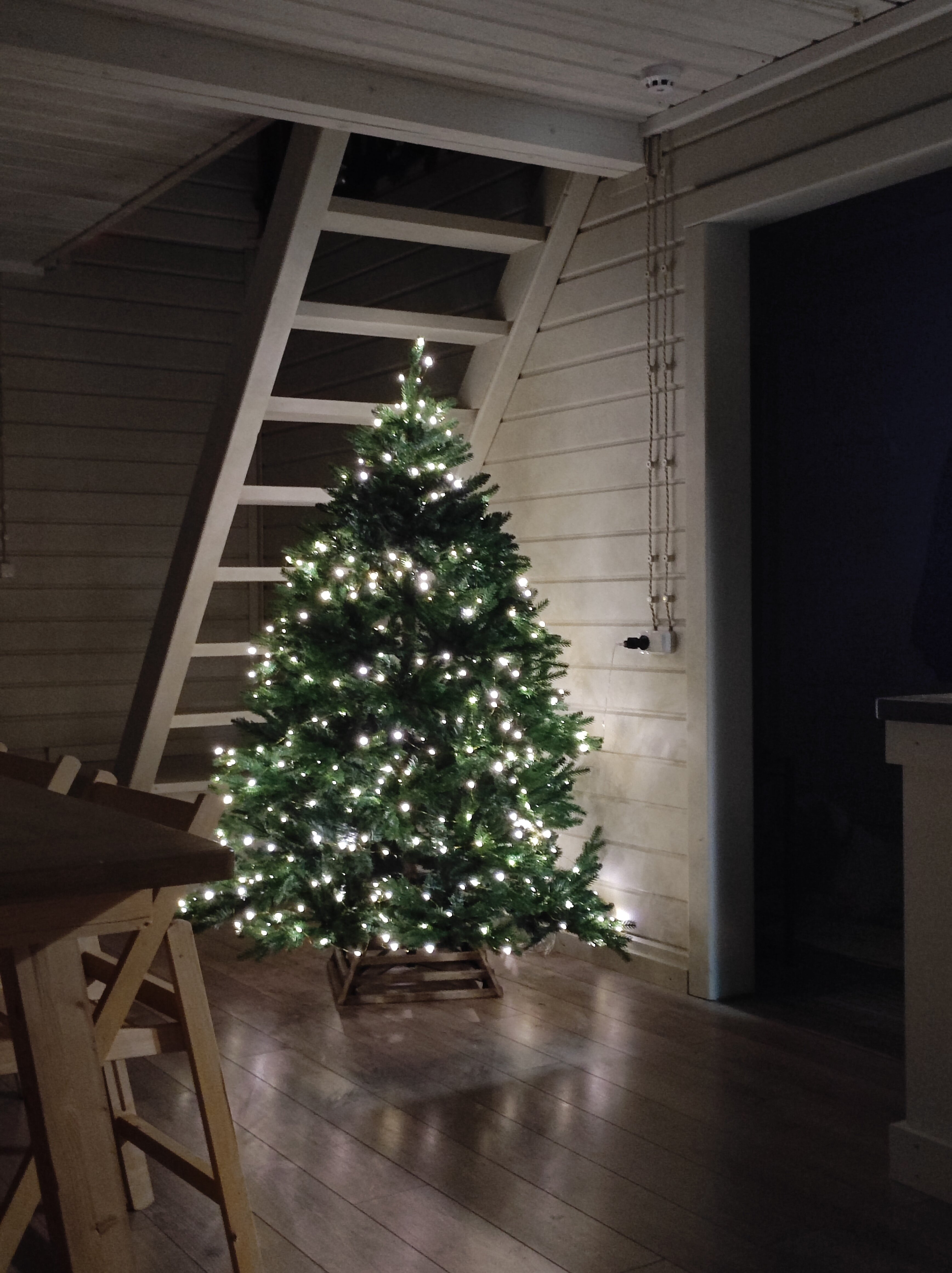 Фото Гостевой дом Лисы