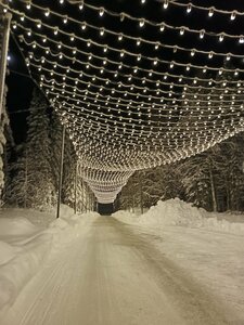 Ромашка
