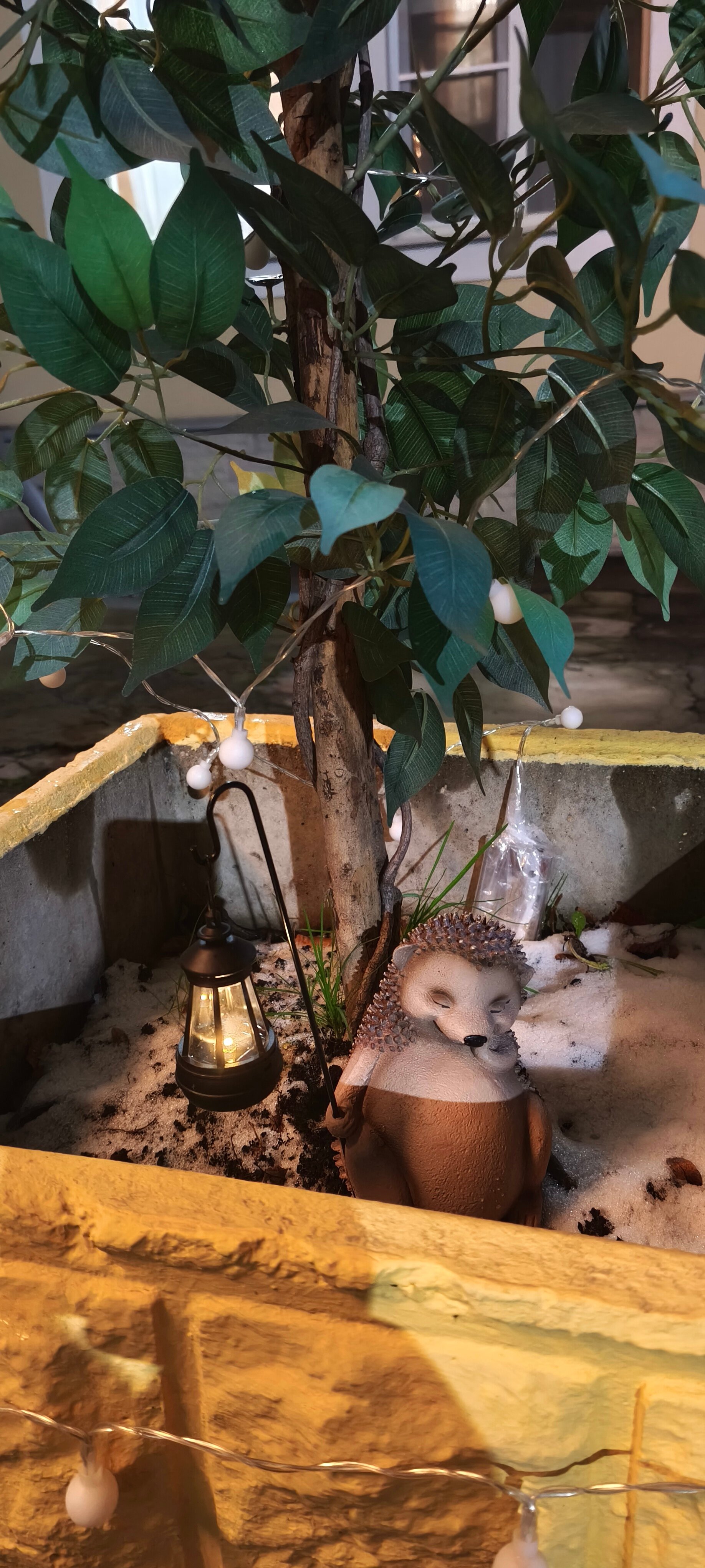 Фото Династия Лефортово