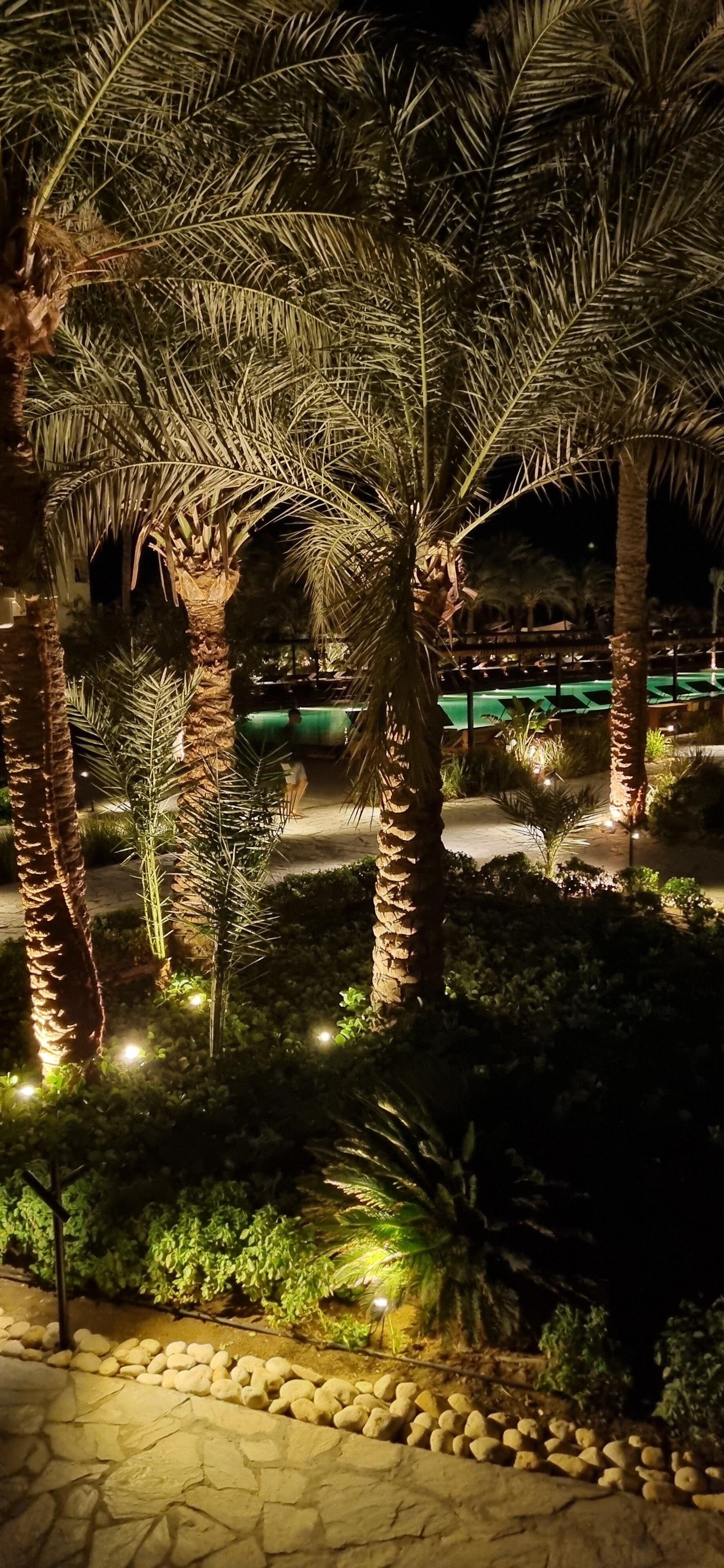 Фото Serry Beach Resort