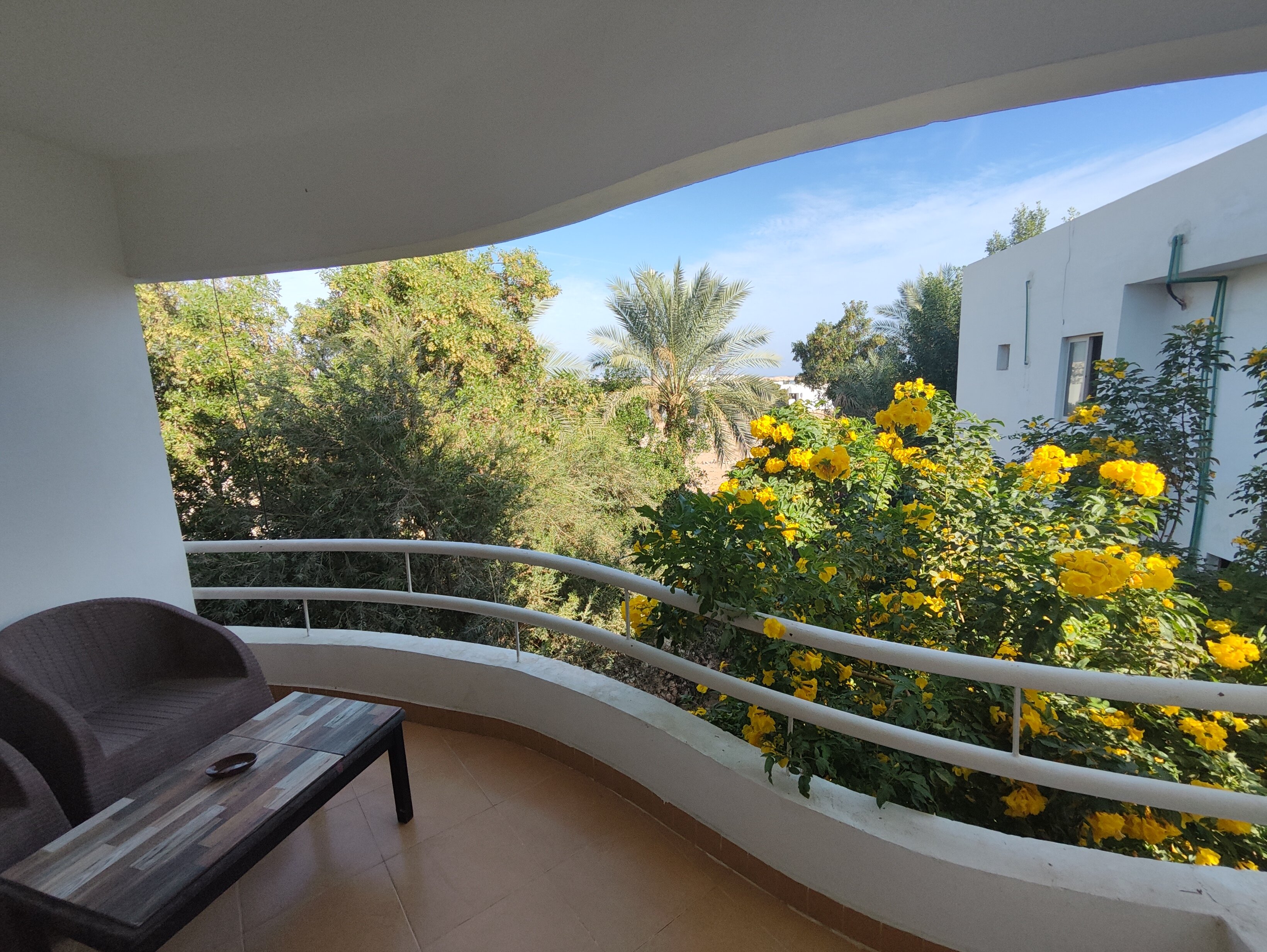 Фото Viking Club Sharm El Sheikh