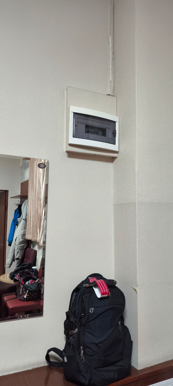 Фото Золотой Дракон