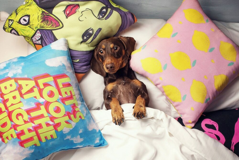 Фото Moxy Tbilisi by Marriott