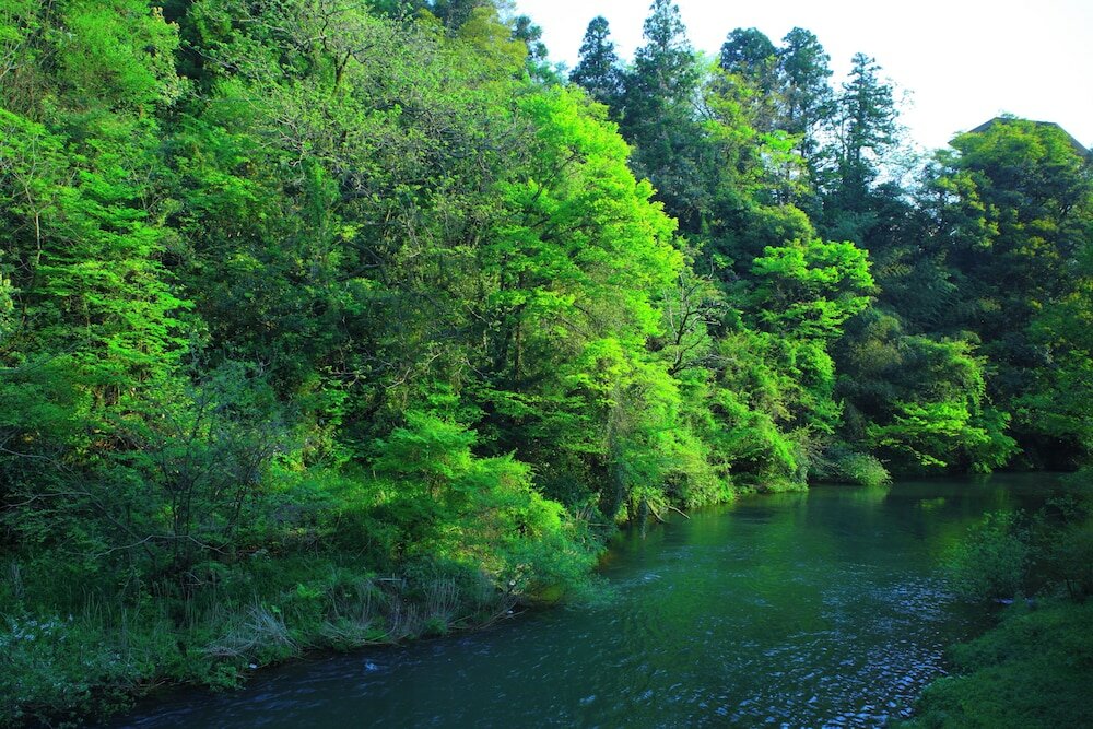 Фото Yamanaka Onsen Ohanami Kyubei